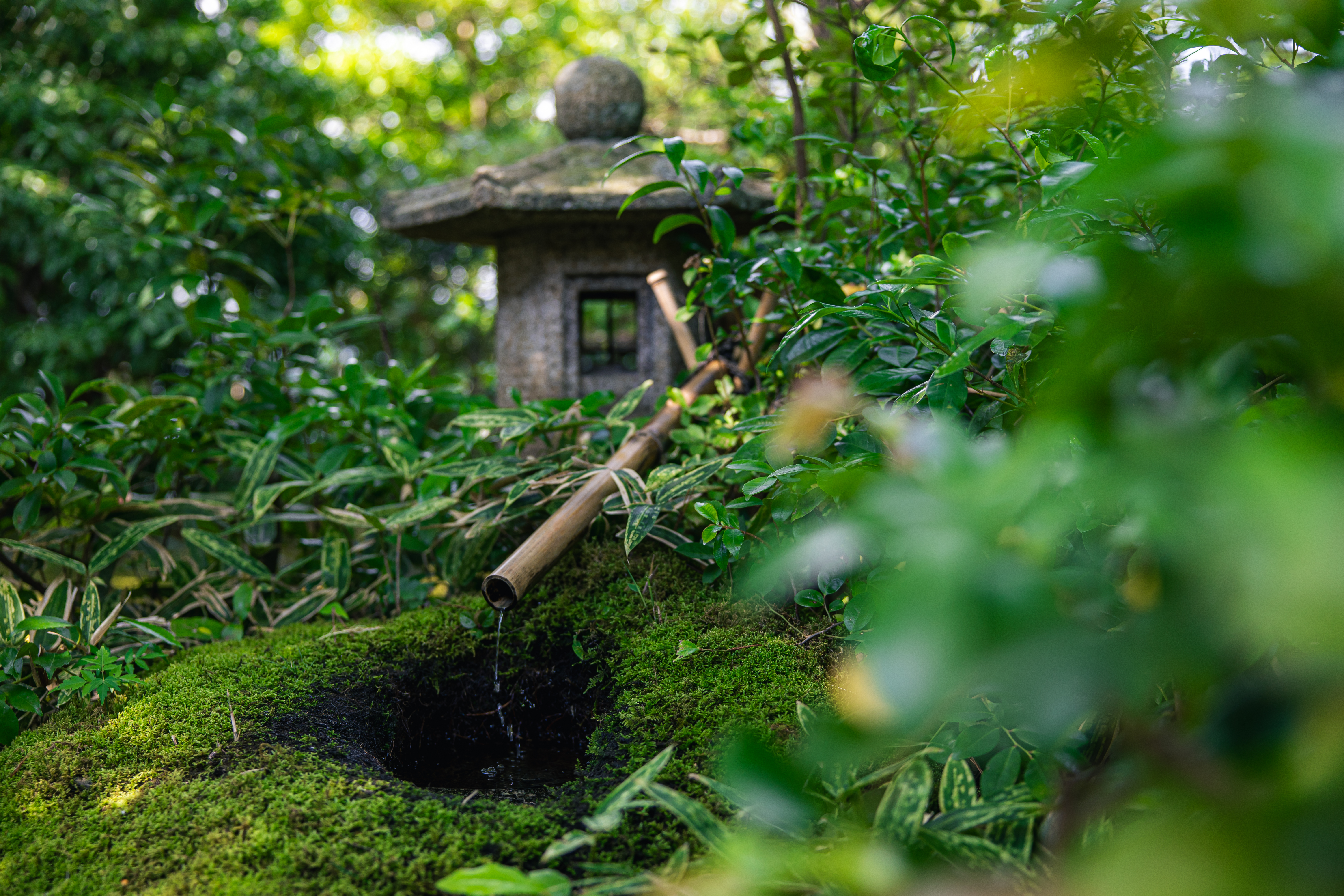 天橋立